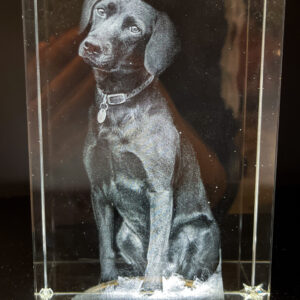 Texas 3D Photo Crystal Gifts